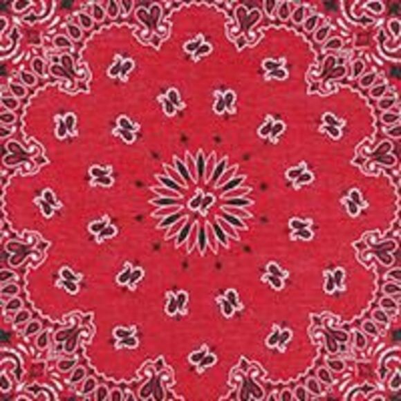 CTM Modern Paisley 20x20 Cotton Bandana - Picture 2 of 2